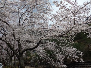 CIMG0635