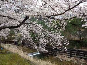 CIMG0636