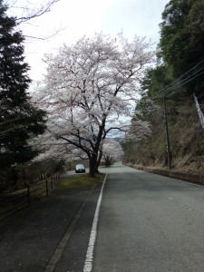 CIMG0637