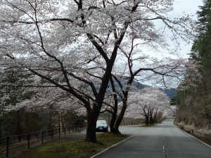 CIMG0638
