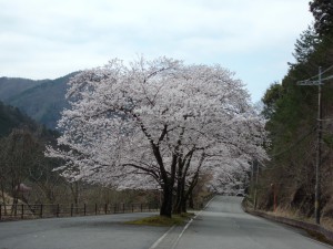 CIMG0639