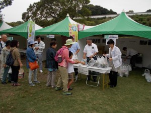 県造協が行なった花苗の無料配布